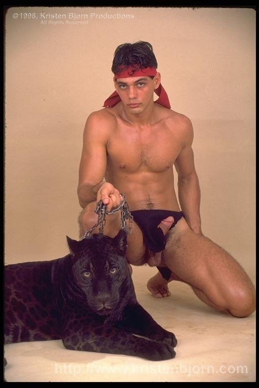 Reginaldo Prado - MaxeGatos - Foto 1