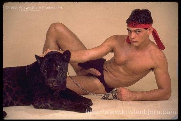 Reginaldo Prado - MaxeGatos - Foto 2