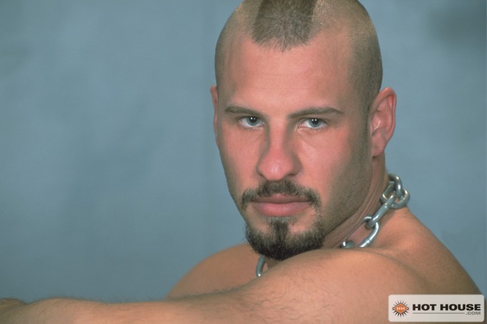 Dick Wolf - MaxeGatos - Foto 21