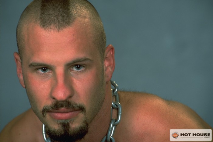 Dick Wolf - MaxeGatos - Foto 24