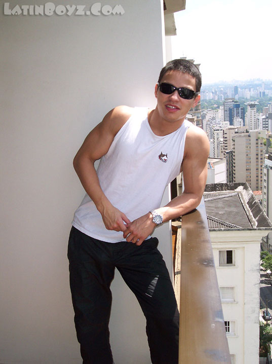 Felix - MaxeGatos - Foto 3