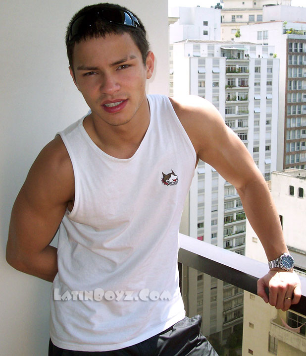 Felix - MaxeGatos - Foto 4