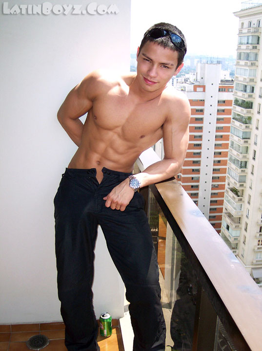 Felix - MaxeGatos - Foto 5