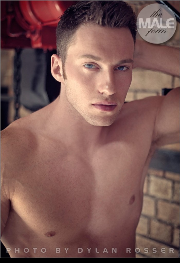 Romeo - MaxeGatos - Foto 1