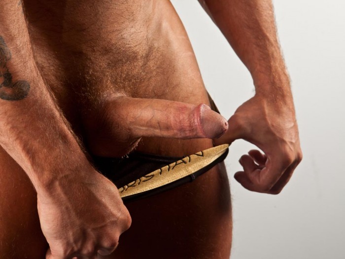 Austin Wolf - MaxeGatos - Foto 17