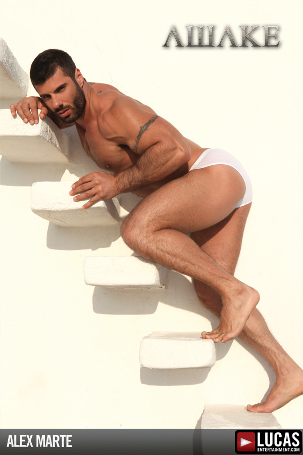 Alex Marte - MaxeGatos - Foto 14