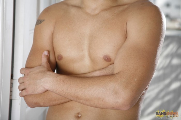 Fernando Albuquerque - MaxeGatos - Foto 57