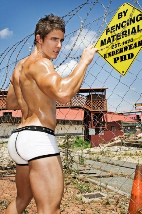 Sarados de Cuecas - MaxeGatos - Foto 4