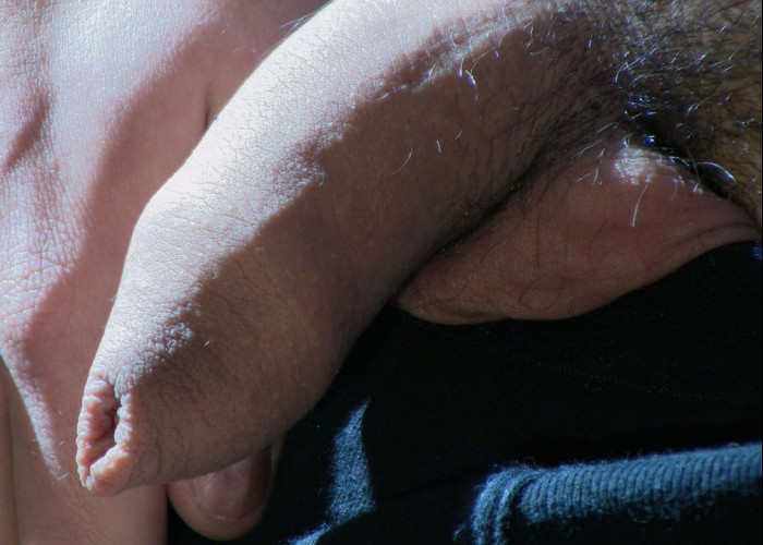 Picas de Machos – Só Picas - Foto 27