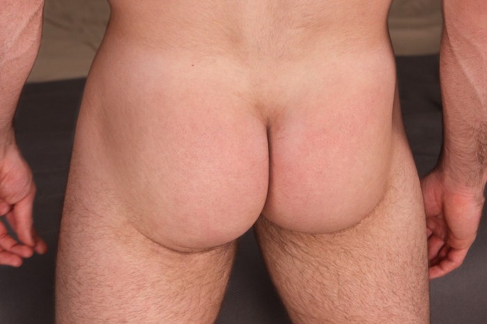 Mix de Gatos - MaxeGatos - Foto 18