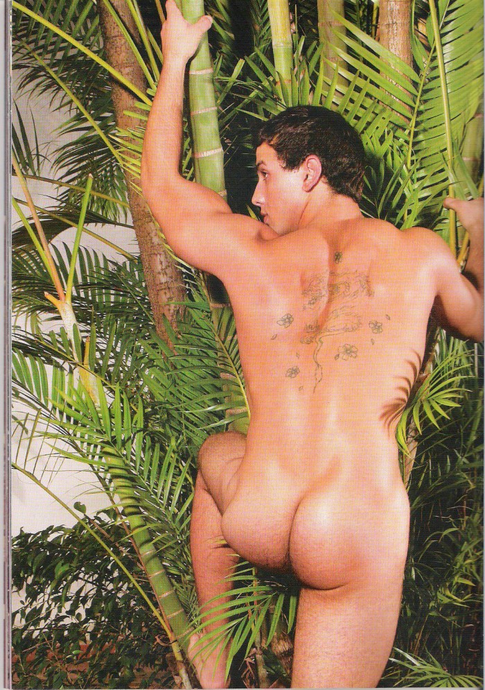 Lucas Barreto - Maxegatos - Foto 80