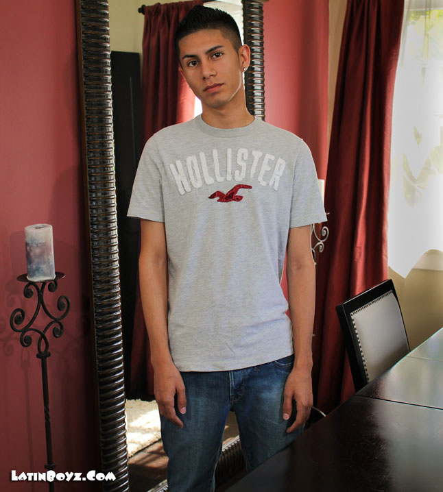 Stevie - MaxeGatos - Foto 3