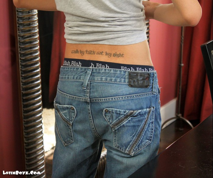 Stevie - MaxeGatos - Foto 6