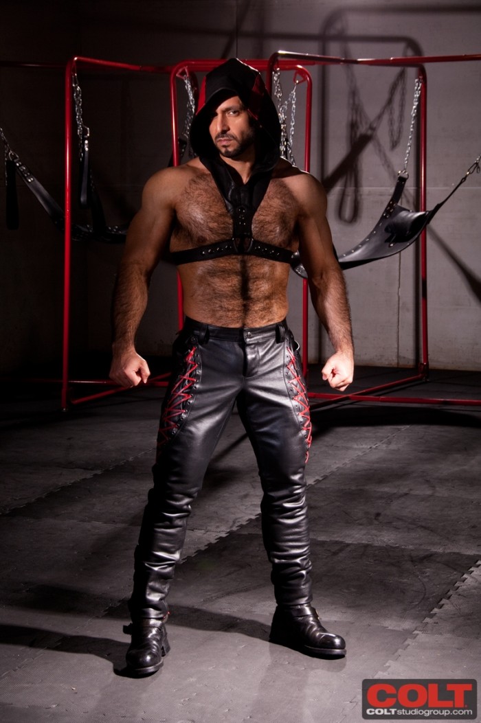 Adam Champ - MaxeGatos - Foto 1