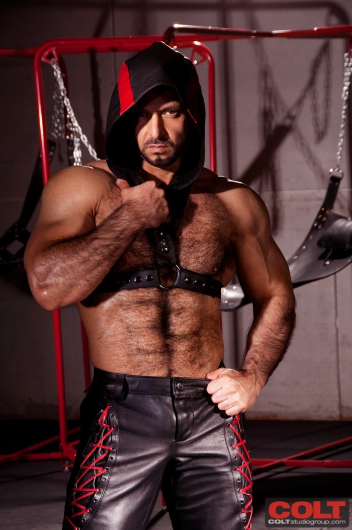 Adam Champ - MaxeGatos - Foto 4