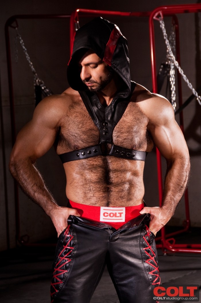 Adam Champ - MaxeGatos - Foto 6