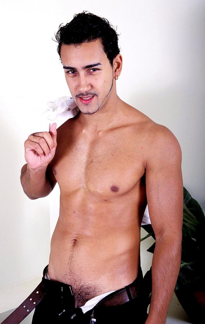 Felipe Herroro - MaxeGatos - Foto 2