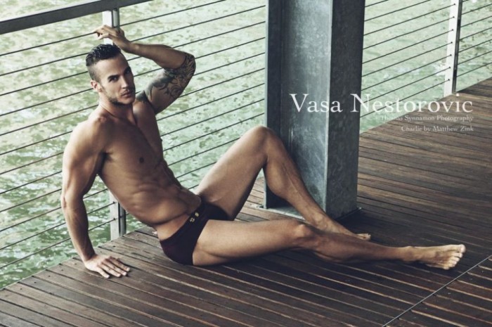 Vasa Nestorovic - MaxeGatos - Foto 1