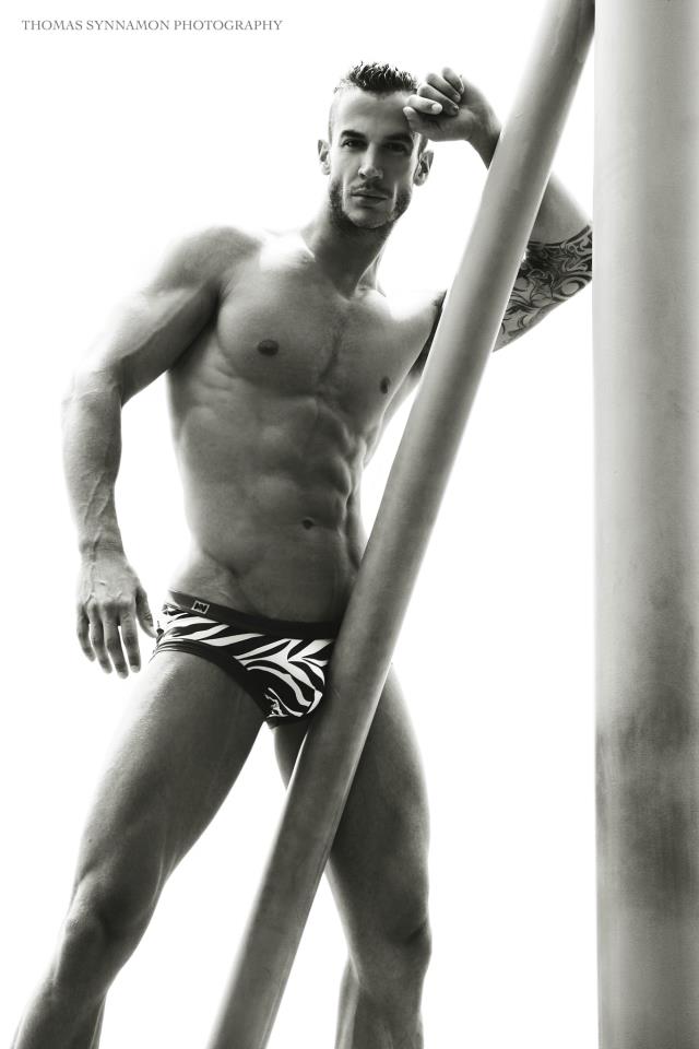 Vasa Nestorovic - MaxeGatos - Foto 13