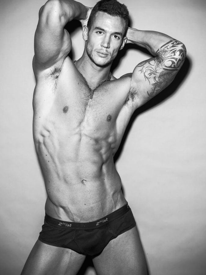 Vasa Nestorovic - MaxeGatos - Foto 17