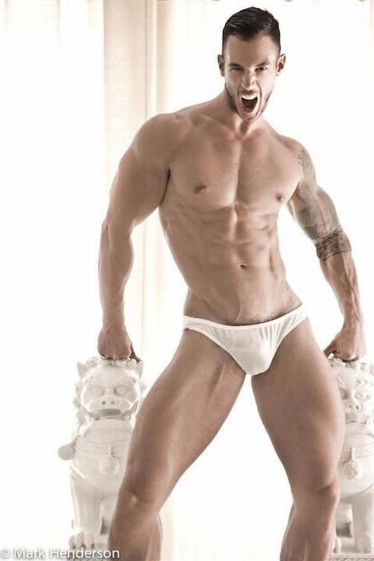 Vasa Nestorovic - MaxeGatos - Foto 24