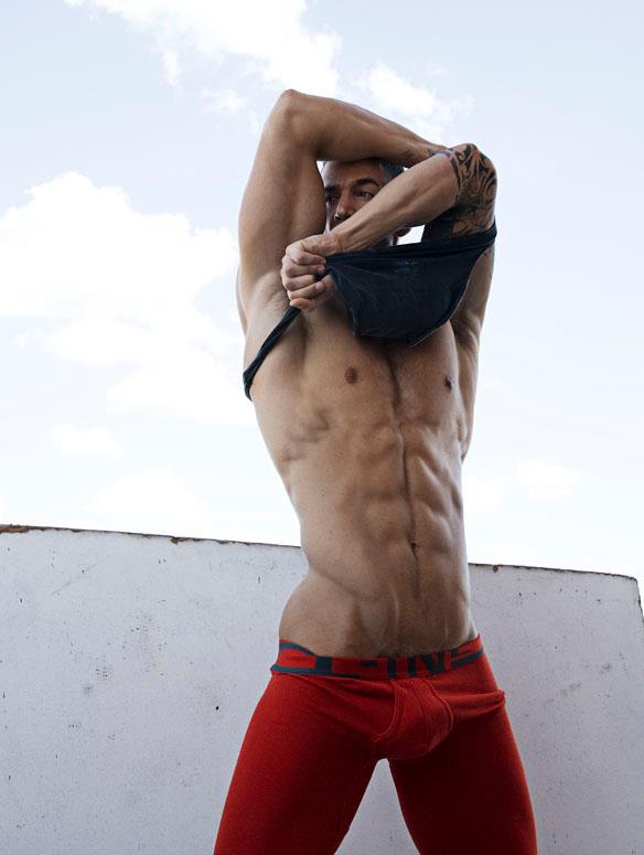 Vasa Nestorovic - MaxeGatos - Foto 34