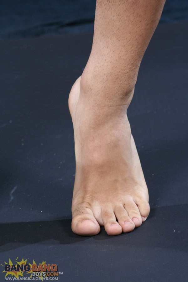 Kaio Felipe - MaxeGatos - Foto 57