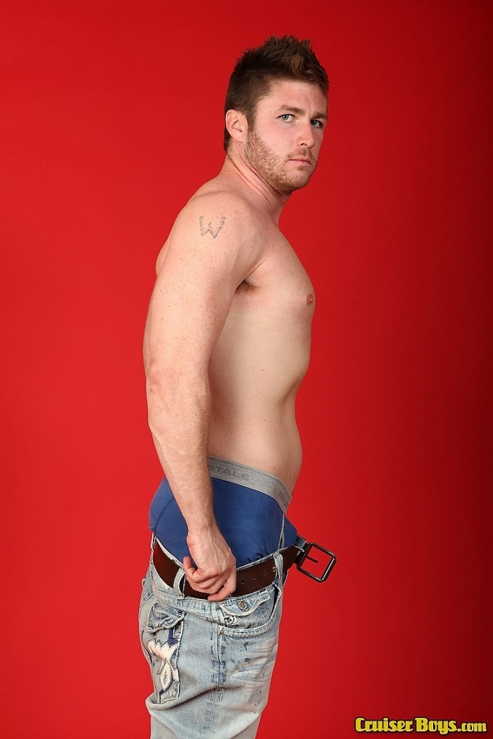 Randall - MaxeGatos - Foto 14