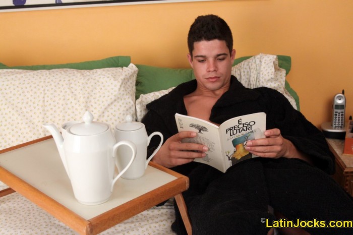 Marcio - MaxeGatos - Foto 2