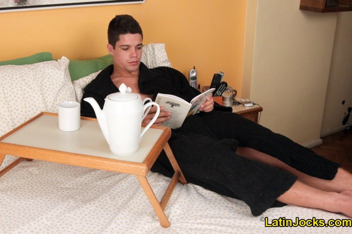 Marcio - MaxeGatos - Foto 4