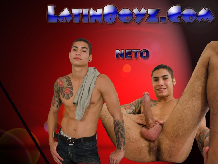 Neto - MaxeGatos - Foto 1