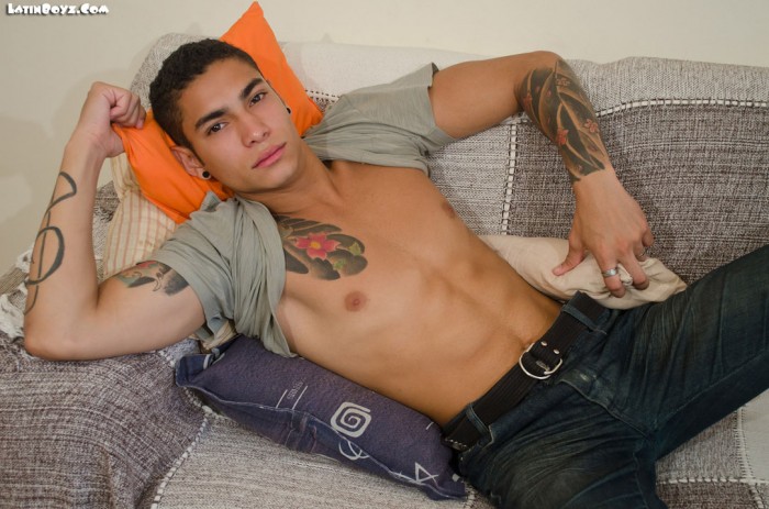 Neto - MaxeGatos - Foto 5