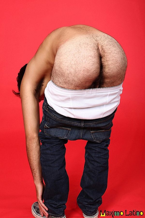 Diego C - MaxeGatos - Foto 22