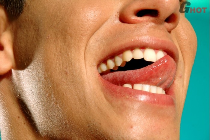 Alan - MaxeGatos - Foto 5