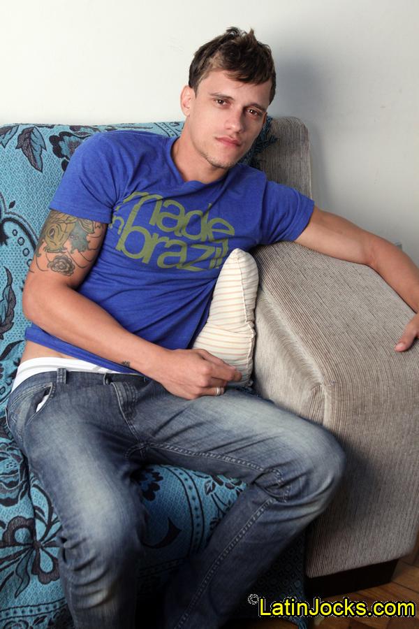 Dennis - MaxeGatos - Foto 1