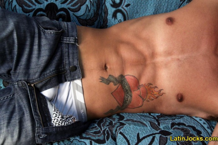 Dennis - MaxeGatos - Foto 13