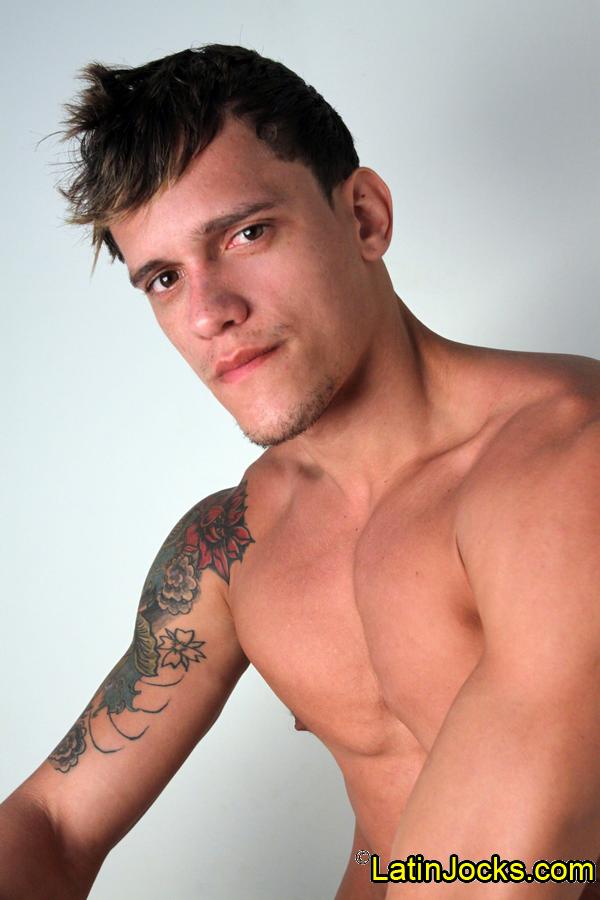 Dennis - MaxeGatos - Foto 20