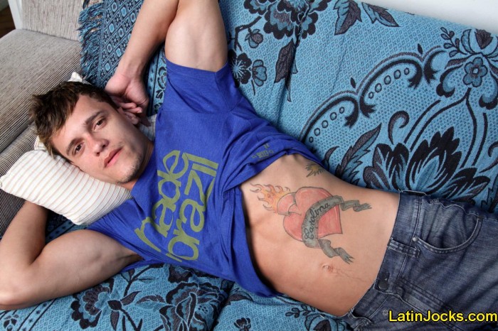 Dennis - MaxeGatos - Foto 5