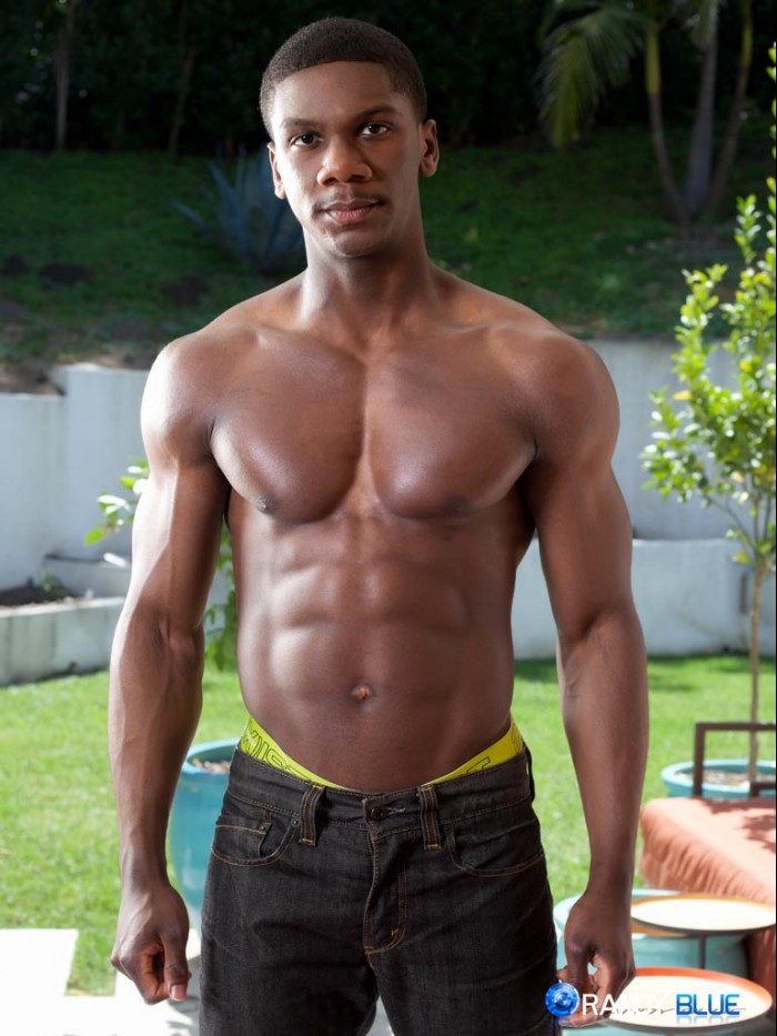 Sam Jose - MaxeGatos - Foto 1