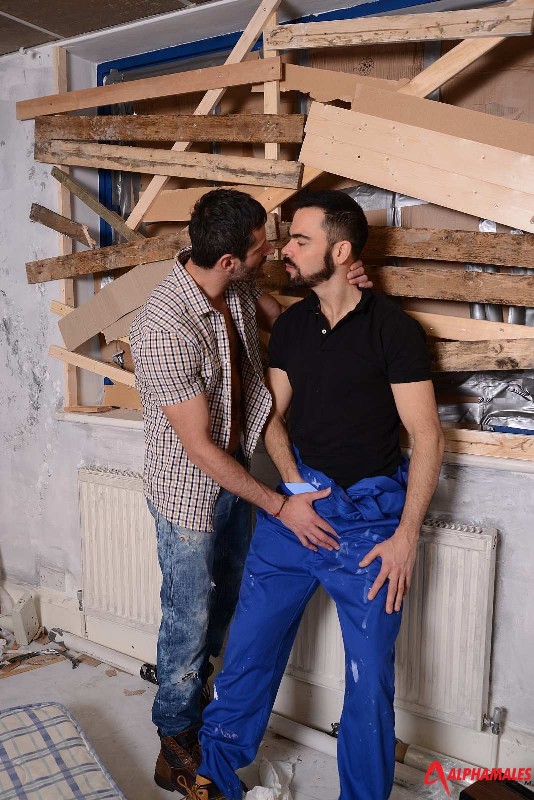 Antonio Garcia and Dolan Wolf- MaxeGatos - Foto 2