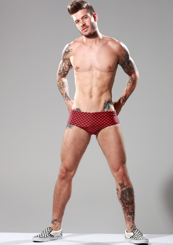 Mateus Verdelho - MaxeGatos - Foto 10