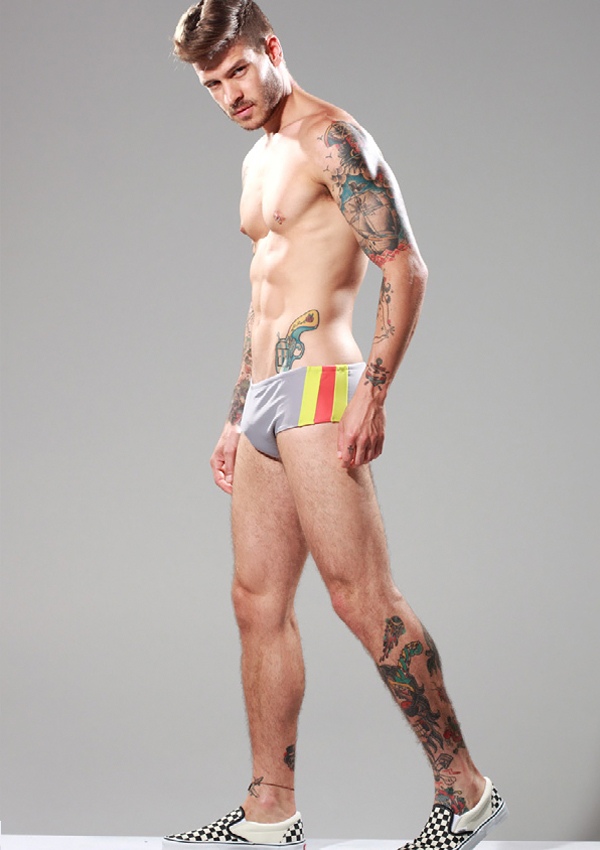 Mateus Verdelho - MaxeGatos - Foto 11