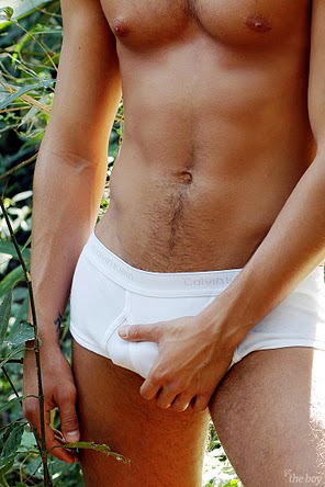 Mateus Verdelho - MaxeGatos - Foto 14