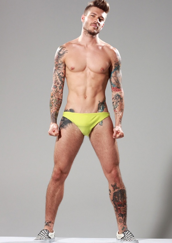 Mateus Verdelho - MaxeGatos - Foto 17