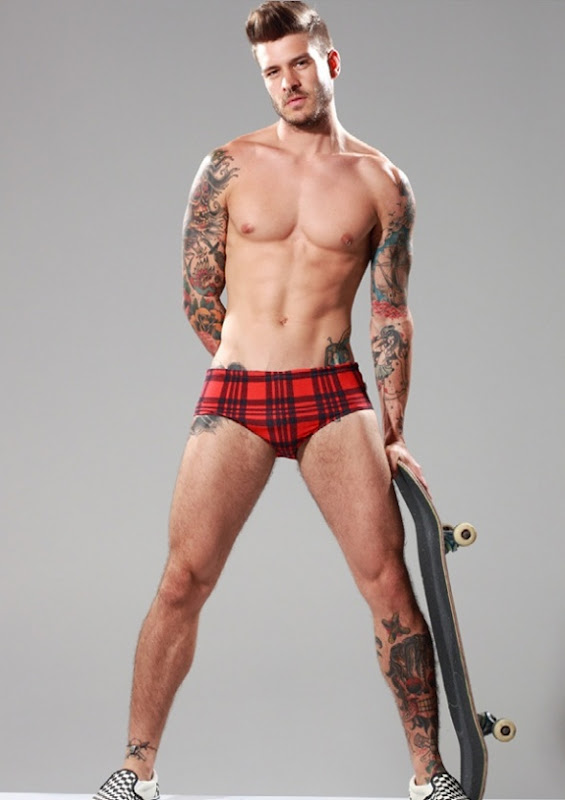 Mateus Verdelho - MaxeGatos - Foto 21