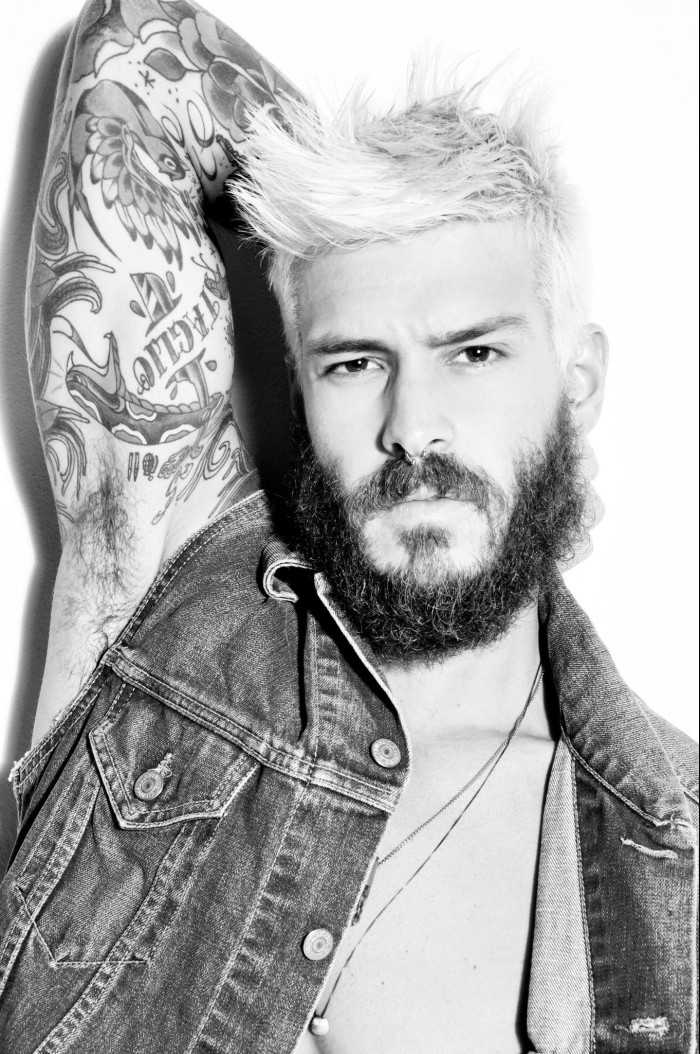 Mateus Verdelho - MaxeGatos - Foto 26