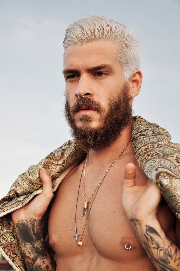 Mateus Verdelho - MaxeGatos - Foto 29