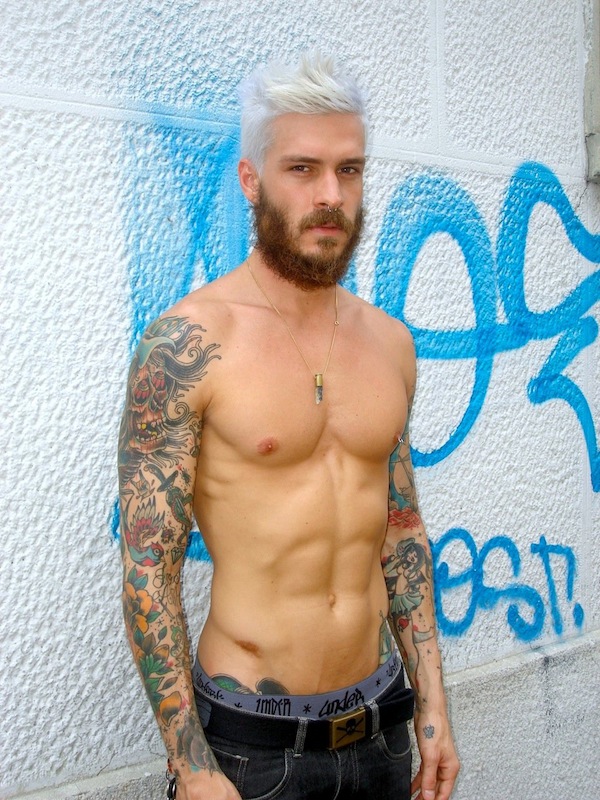 Mateus Verdelho - MaxeGatos - Foto 34