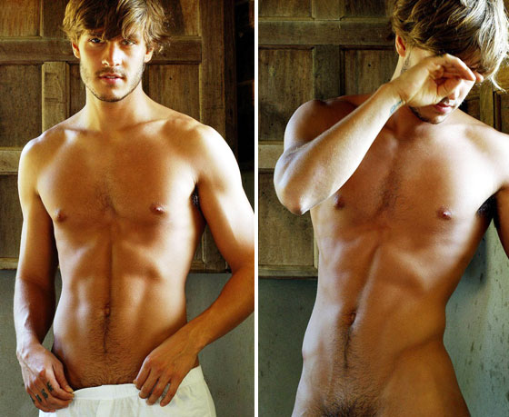 Mateus Verdelho - MaxeGatos - Foto 37