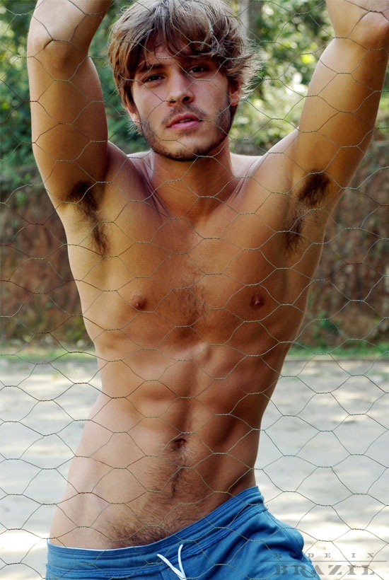 Mateus Verdelho - MaxeGatos - Foto 44